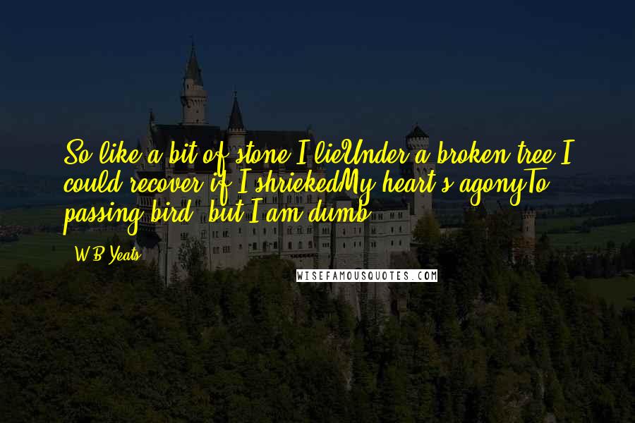 W.B.Yeats Quotes: So like a bit of stone I lieUnder a broken tree.I could recover if I shriekedMy heart's agonyTo passing bird, but I am dumb.