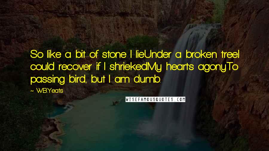 W.B.Yeats Quotes: So like a bit of stone I lieUnder a broken tree.I could recover if I shriekedMy heart's agonyTo passing bird, but I am dumb.