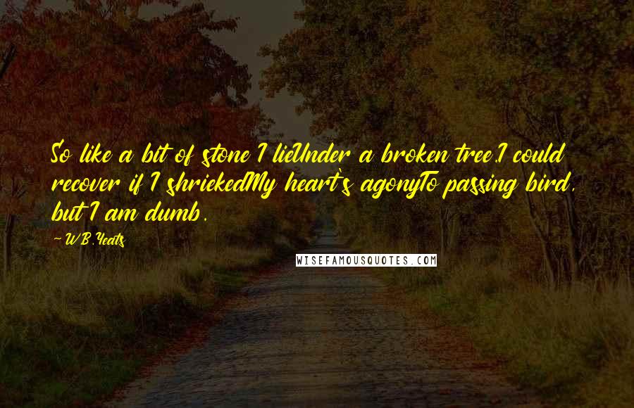 W.B.Yeats Quotes: So like a bit of stone I lieUnder a broken tree.I could recover if I shriekedMy heart's agonyTo passing bird, but I am dumb.