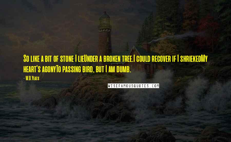 W.B.Yeats Quotes: So like a bit of stone I lieUnder a broken tree.I could recover if I shriekedMy heart's agonyTo passing bird, but I am dumb.