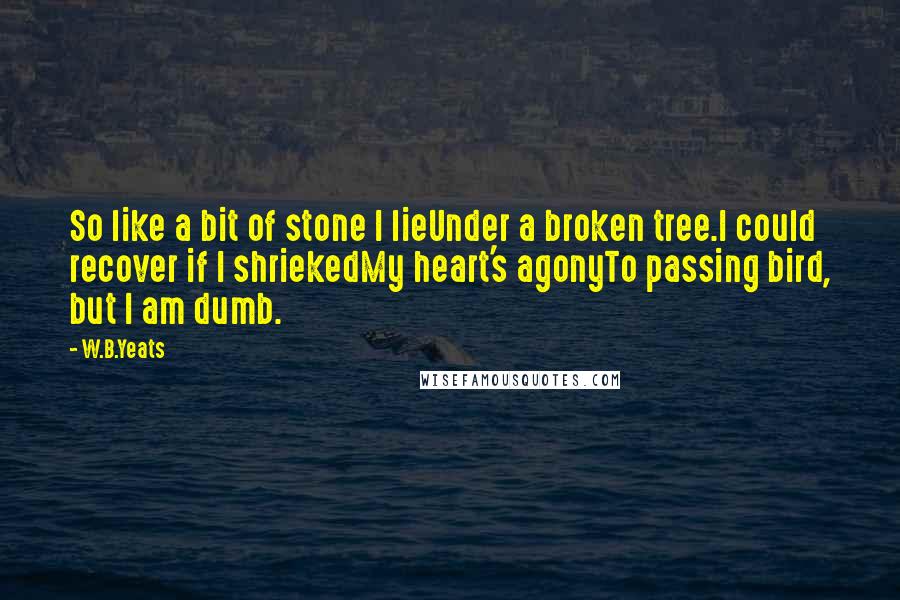 W.B.Yeats Quotes: So like a bit of stone I lieUnder a broken tree.I could recover if I shriekedMy heart's agonyTo passing bird, but I am dumb.