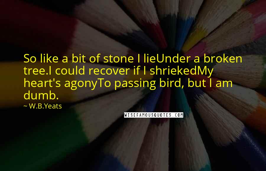 W.B.Yeats Quotes: So like a bit of stone I lieUnder a broken tree.I could recover if I shriekedMy heart's agonyTo passing bird, but I am dumb.