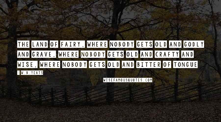 W.B.Yeats Quotes: The land of fairy, where nobody gets old and godly and grave, where nobody gets old and crafty and wise, where nobody gets old and bitter of tongue