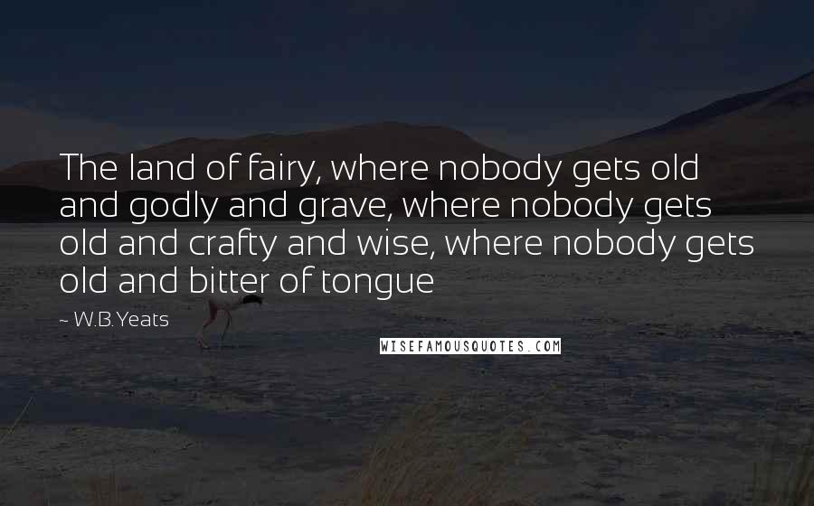 W.B.Yeats Quotes: The land of fairy, where nobody gets old and godly and grave, where nobody gets old and crafty and wise, where nobody gets old and bitter of tongue
