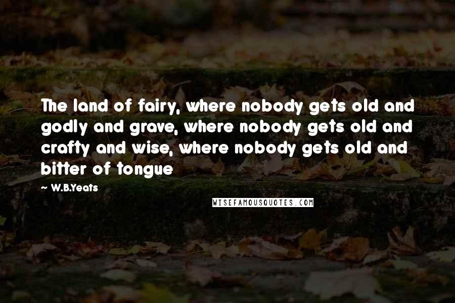W.B.Yeats Quotes: The land of fairy, where nobody gets old and godly and grave, where nobody gets old and crafty and wise, where nobody gets old and bitter of tongue