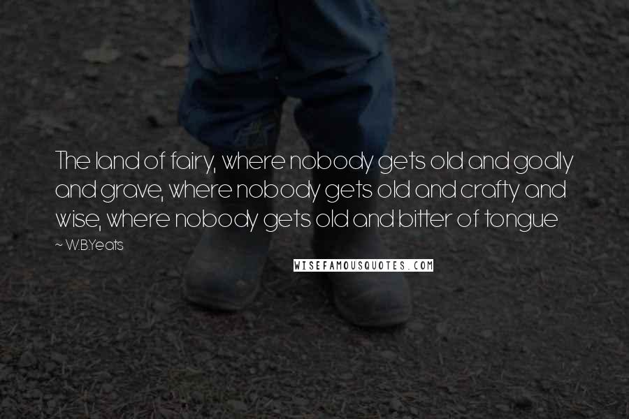 W.B.Yeats Quotes: The land of fairy, where nobody gets old and godly and grave, where nobody gets old and crafty and wise, where nobody gets old and bitter of tongue