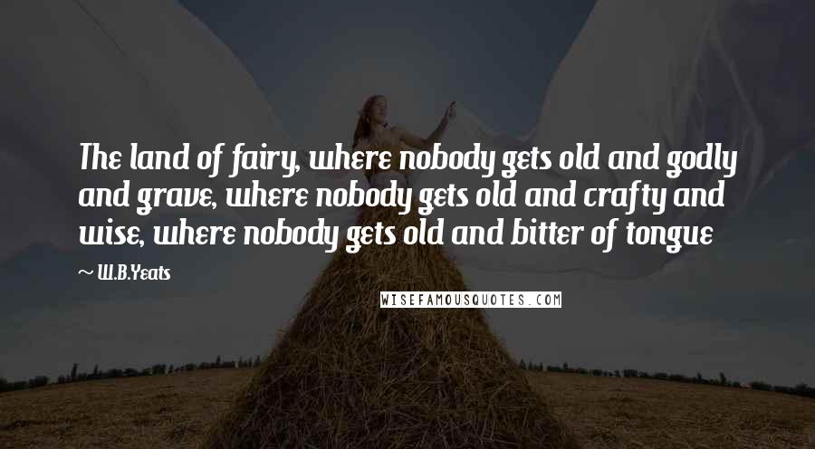W.B.Yeats Quotes: The land of fairy, where nobody gets old and godly and grave, where nobody gets old and crafty and wise, where nobody gets old and bitter of tongue
