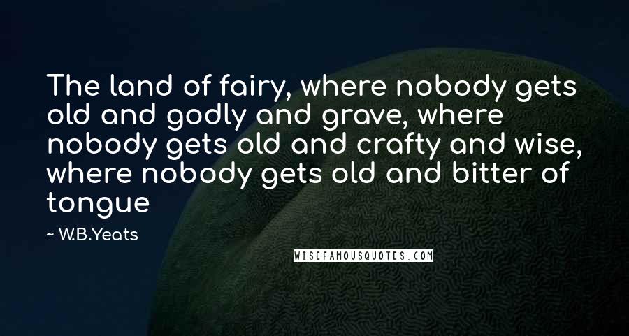 W.B.Yeats Quotes: The land of fairy, where nobody gets old and godly and grave, where nobody gets old and crafty and wise, where nobody gets old and bitter of tongue