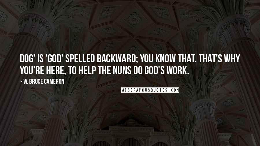 W. Bruce Cameron Quotes: Dog' is 'God' spelled backward; you know that. That's why you're here, to help the nuns do God's work.