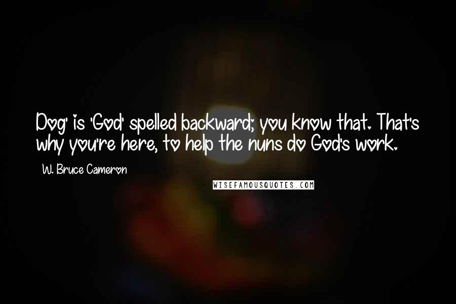 W. Bruce Cameron Quotes: Dog' is 'God' spelled backward; you know that. That's why you're here, to help the nuns do God's work.