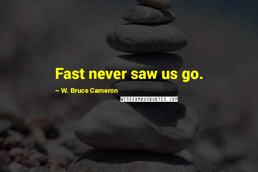 W. Bruce Cameron Quotes: Fast never saw us go.