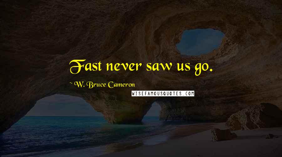 W. Bruce Cameron Quotes: Fast never saw us go.