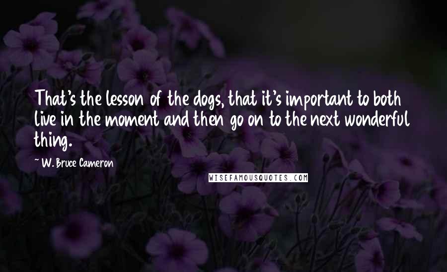 W. Bruce Cameron Quotes: That's the lesson of the dogs, that it's important to both live in the moment and then go on to the next wonderful thing.