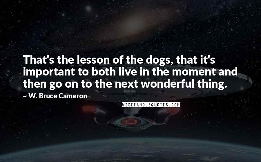 W. Bruce Cameron Quotes: That's the lesson of the dogs, that it's important to both live in the moment and then go on to the next wonderful thing.
