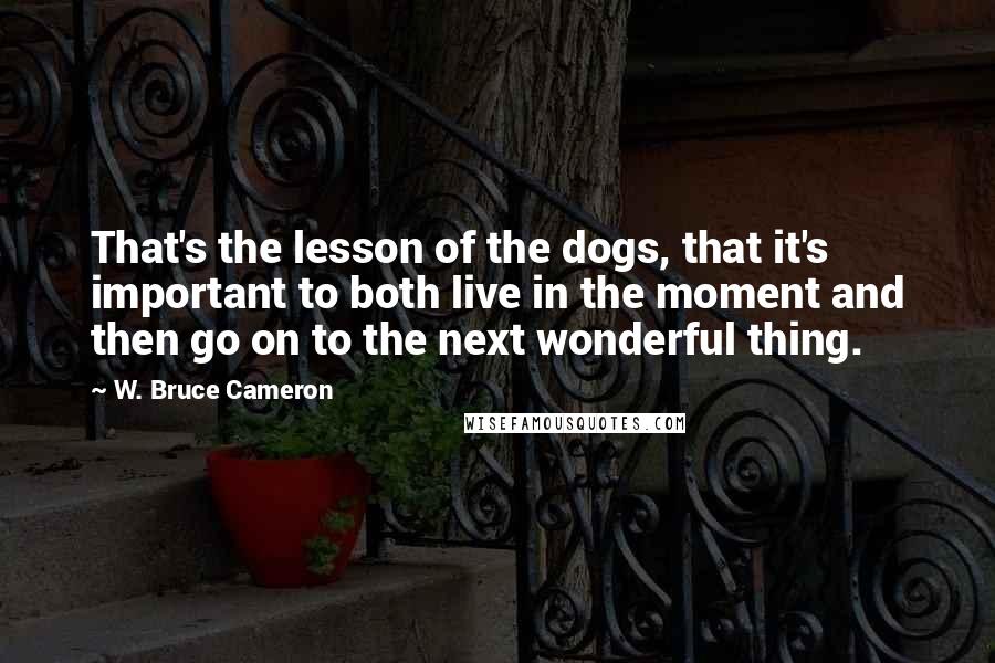 W. Bruce Cameron Quotes: That's the lesson of the dogs, that it's important to both live in the moment and then go on to the next wonderful thing.