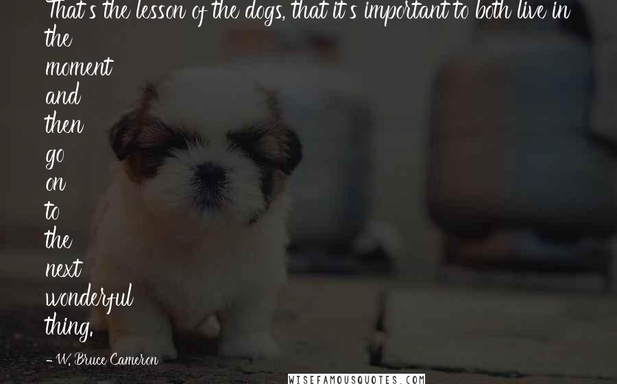 W. Bruce Cameron Quotes: That's the lesson of the dogs, that it's important to both live in the moment and then go on to the next wonderful thing.