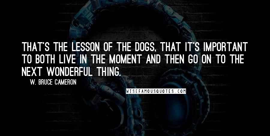 W. Bruce Cameron Quotes: That's the lesson of the dogs, that it's important to both live in the moment and then go on to the next wonderful thing.