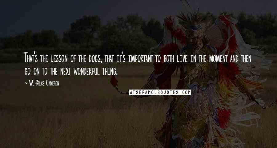 W. Bruce Cameron Quotes: That's the lesson of the dogs, that it's important to both live in the moment and then go on to the next wonderful thing.