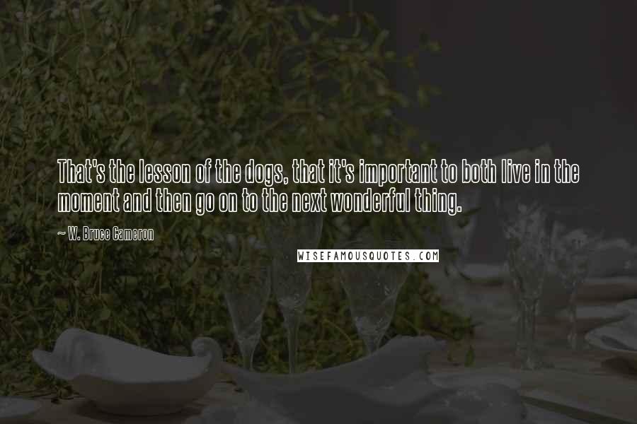 W. Bruce Cameron Quotes: That's the lesson of the dogs, that it's important to both live in the moment and then go on to the next wonderful thing.