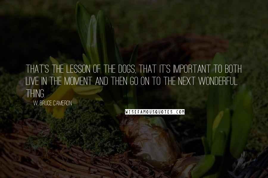 W. Bruce Cameron Quotes: That's the lesson of the dogs, that it's important to both live in the moment and then go on to the next wonderful thing.