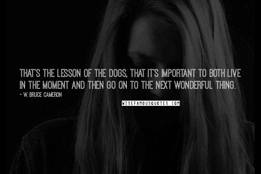 W. Bruce Cameron Quotes: That's the lesson of the dogs, that it's important to both live in the moment and then go on to the next wonderful thing.