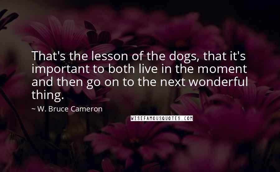 W. Bruce Cameron Quotes: That's the lesson of the dogs, that it's important to both live in the moment and then go on to the next wonderful thing.