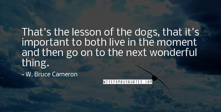 W. Bruce Cameron Quotes: That's the lesson of the dogs, that it's important to both live in the moment and then go on to the next wonderful thing.
