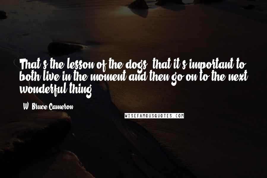 W. Bruce Cameron Quotes: That's the lesson of the dogs, that it's important to both live in the moment and then go on to the next wonderful thing.