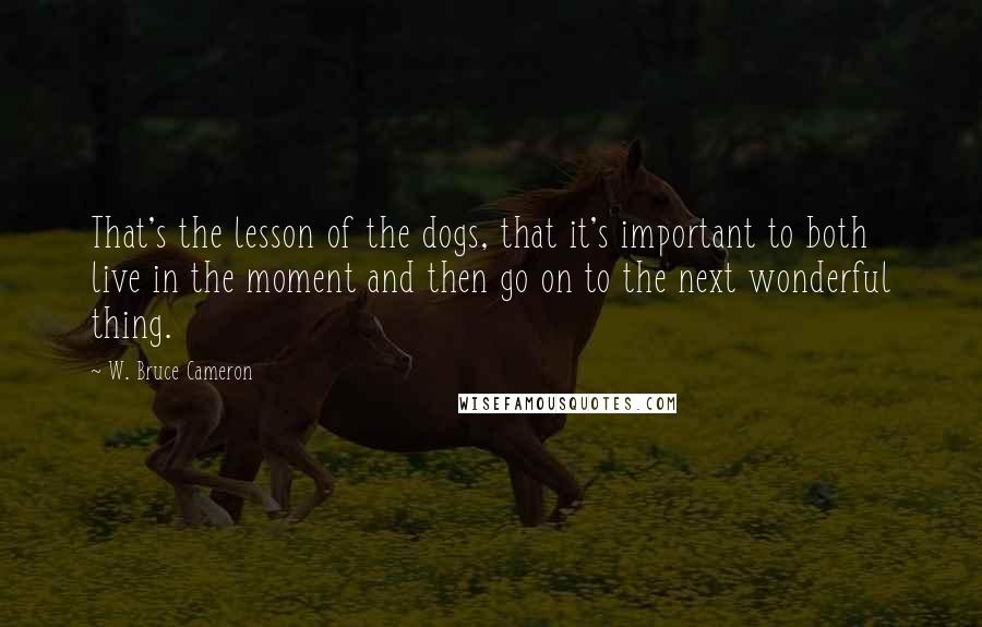 W. Bruce Cameron Quotes: That's the lesson of the dogs, that it's important to both live in the moment and then go on to the next wonderful thing.