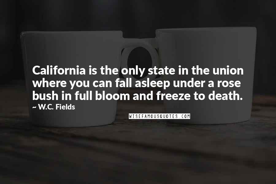 W.C. Fields Quotes: California is the only state in the union where you can fall asleep under a rose bush in full bloom and freeze to death.