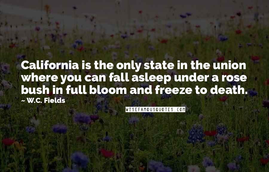 W.C. Fields Quotes: California is the only state in the union where you can fall asleep under a rose bush in full bloom and freeze to death.