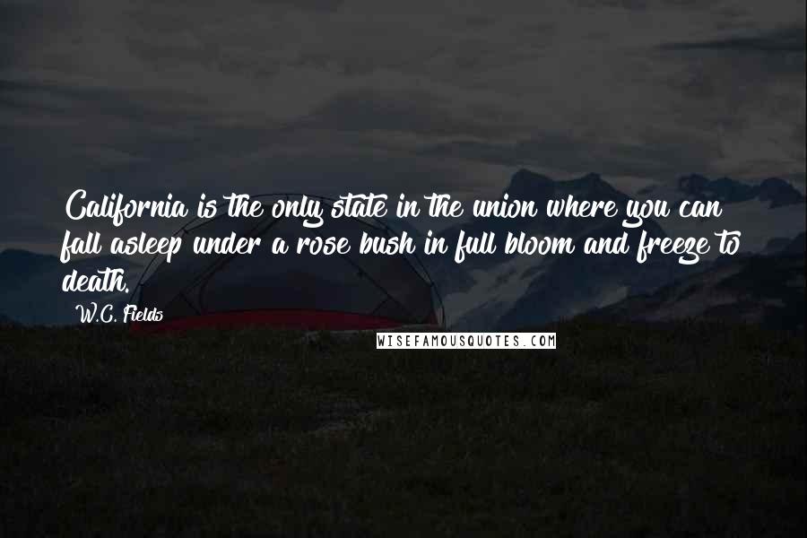 W.C. Fields Quotes: California is the only state in the union where you can fall asleep under a rose bush in full bloom and freeze to death.