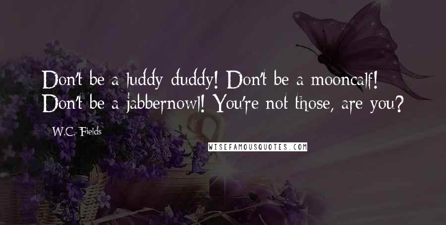 W.C. Fields Quotes: Don't be a luddy-duddy! Don't be a mooncalf! Don't be a jabbernowl! You're not those, are you?