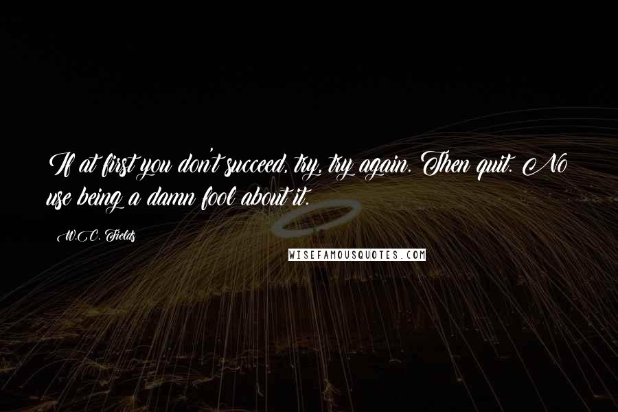 W.C. Fields Quotes: If at first you don't succeed, try, try again. Then quit. No use being a damn fool about it.