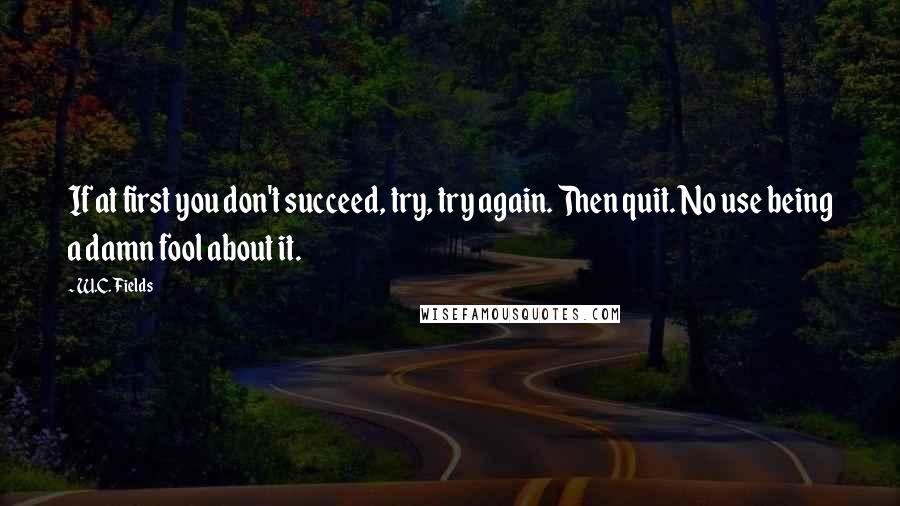 W.C. Fields Quotes: If at first you don't succeed, try, try again. Then quit. No use being a damn fool about it.