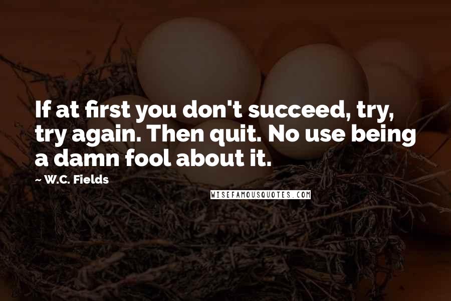 W.C. Fields Quotes: If at first you don't succeed, try, try again. Then quit. No use being a damn fool about it.