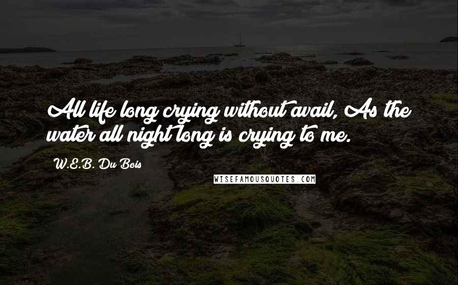 W.E.B. Du Bois Quotes: All life long crying without avail, As the water all night long is crying to me.