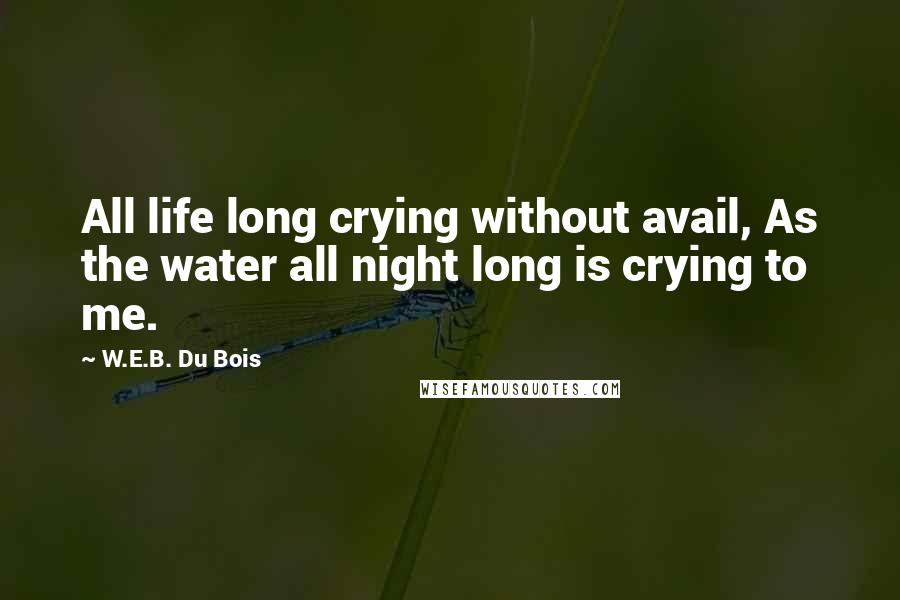 W.E.B. Du Bois Quotes: All life long crying without avail, As the water all night long is crying to me.