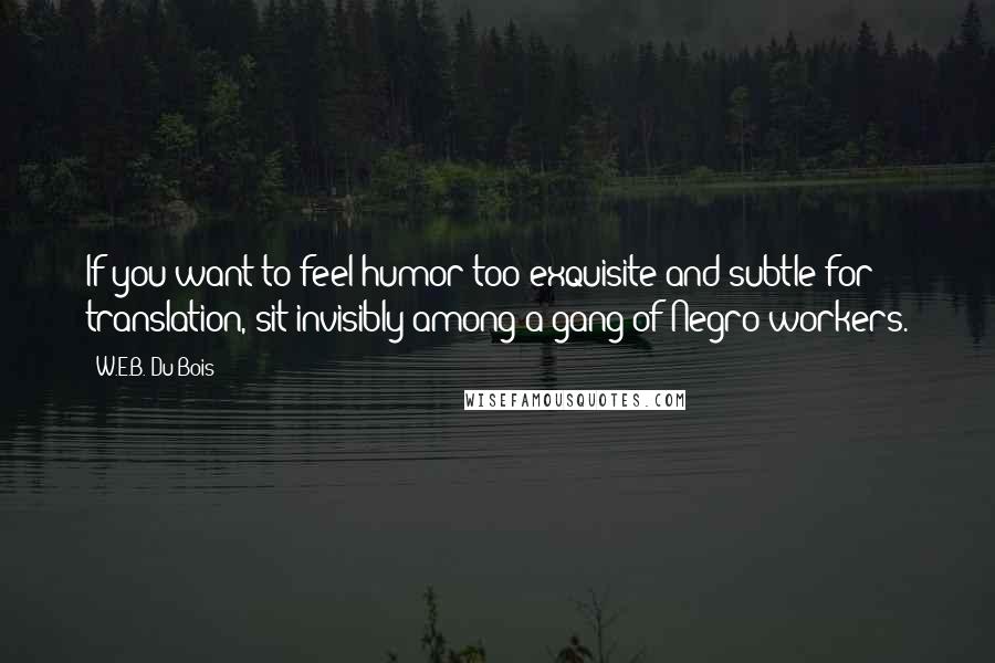 W.E.B. Du Bois Quotes: If you want to feel humor too exquisite and subtle for translation, sit invisibly among a gang of Negro workers.