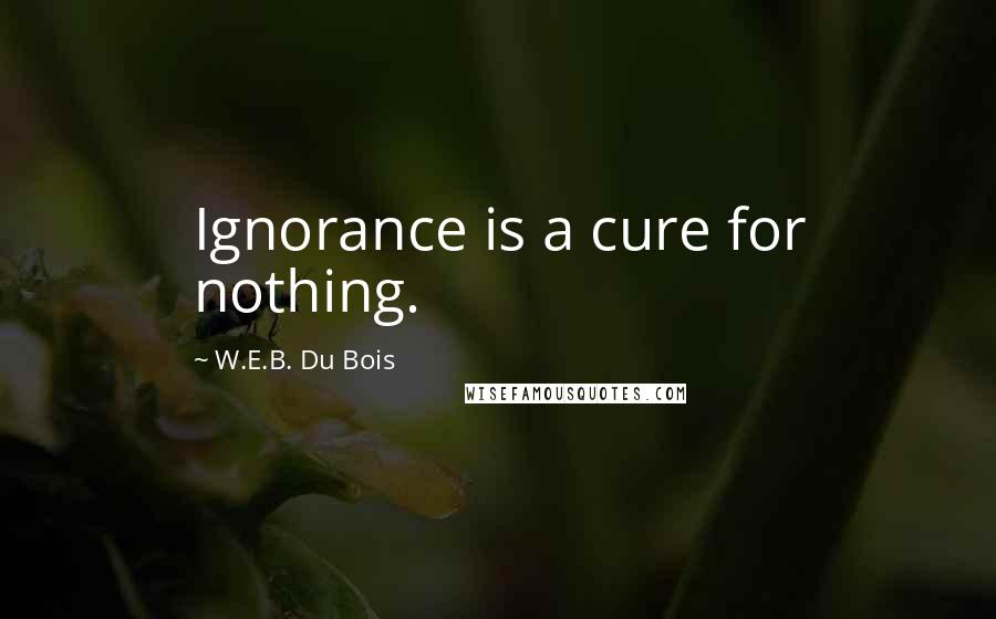 W.E.B. Du Bois Quotes: Ignorance is a cure for nothing.