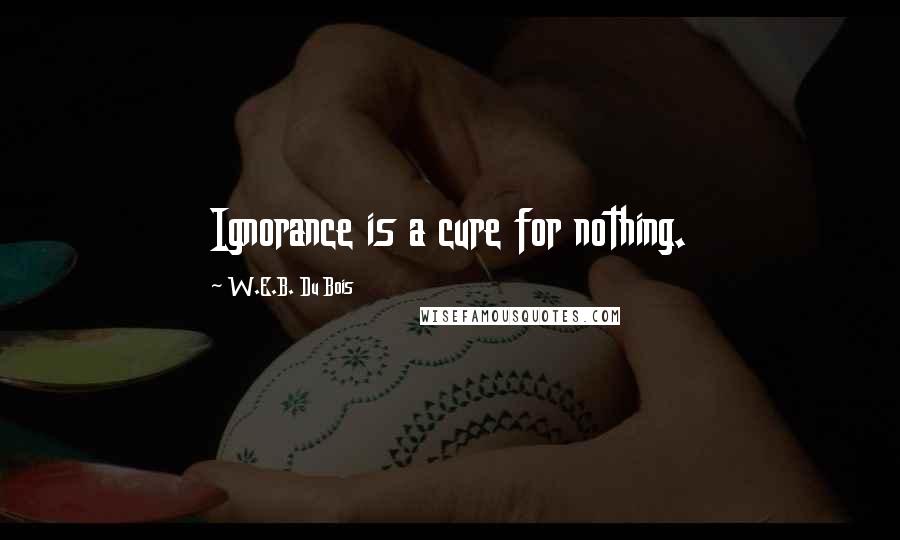 W.E.B. Du Bois Quotes: Ignorance is a cure for nothing.