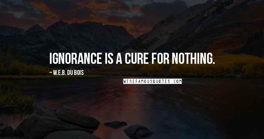 W.E.B. Du Bois Quotes: Ignorance is a cure for nothing.