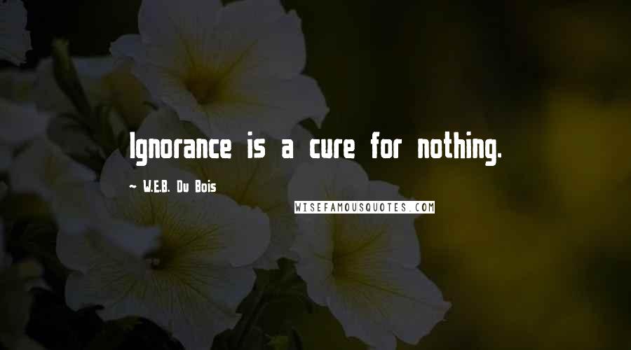 W.E.B. Du Bois Quotes: Ignorance is a cure for nothing.