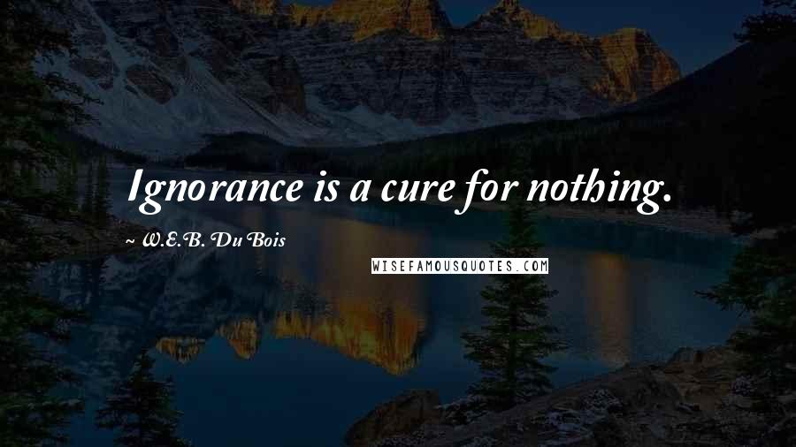 W.E.B. Du Bois Quotes: Ignorance is a cure for nothing.