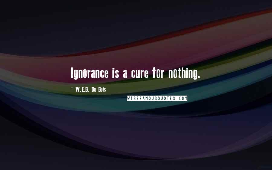 W.E.B. Du Bois Quotes: Ignorance is a cure for nothing.