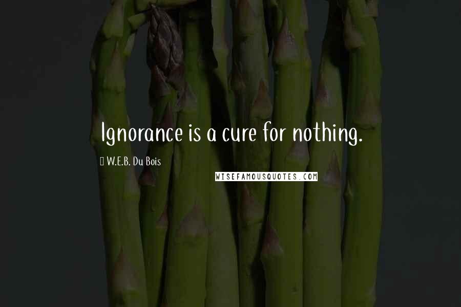 W.E.B. Du Bois Quotes: Ignorance is a cure for nothing.