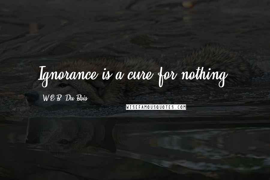 W.E.B. Du Bois Quotes: Ignorance is a cure for nothing.