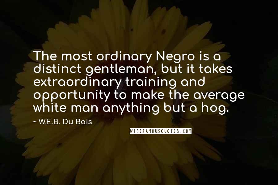 W.E.B. Du Bois Quotes: The most ordinary Negro is a distinct gentleman, but it takes extraordinary training and opportunity to make the average white man anything but a hog.