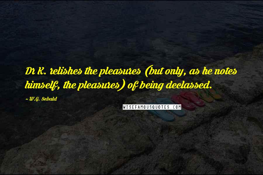 W.G. Sebald Quotes: Dr K. relishes the pleasures (but only, as he notes himself, the pleasures) of being declassed.