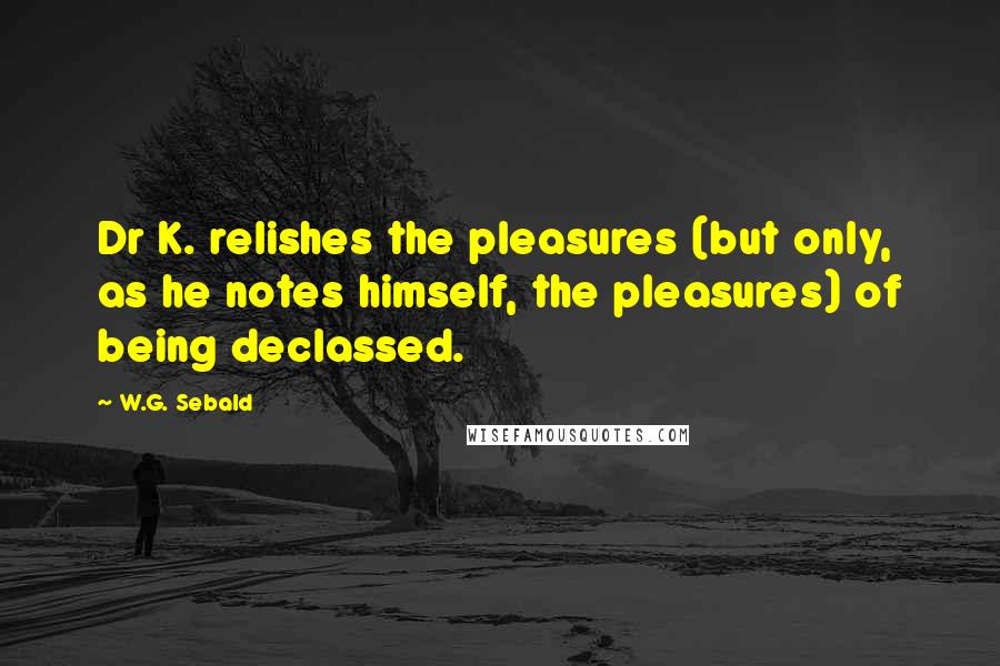 W.G. Sebald Quotes: Dr K. relishes the pleasures (but only, as he notes himself, the pleasures) of being declassed.